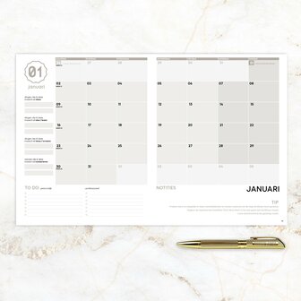   UITVERKOCHT | Oudroze SuccesPlanner 2023