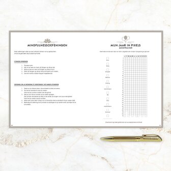   UITVERKOCHT | Oudroze SuccesPlanner 2023