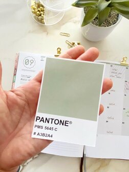 PRE-ORDER | Zen-groene Academische SuccesPlanner '23-'24