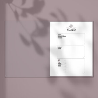 Blush SuccesPlanner 2025 waarom