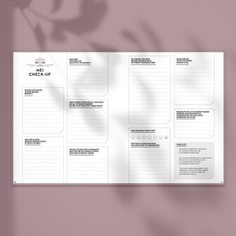Blush SuccesPlanner 2025