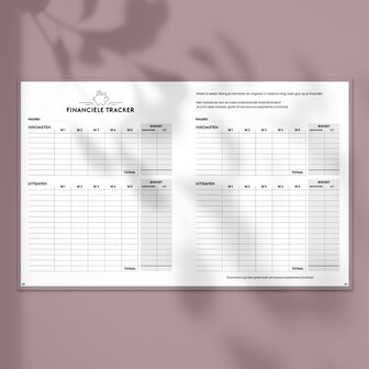 Blush SuccesPlanner 2025