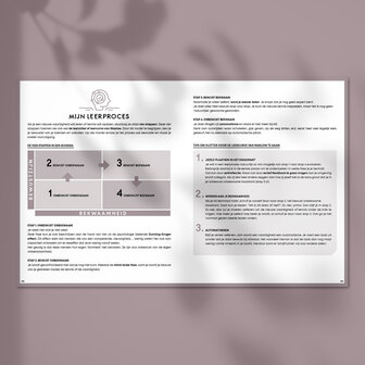 Blush SuccesPlanner 2025