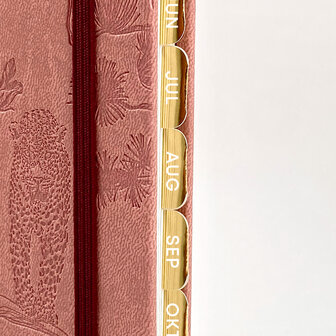                 PRE-ORDER | Organised at home - pakket