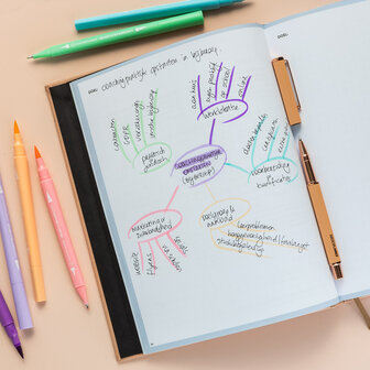 Blush Academische SuccesPlanner &#039;25-&#039;26 - weekplanner &amp; agenda - combineert je priv&eacute; en school in &eacute;&eacute;n planner - schoolagenda - augustus &#039;25 - juli &#039;26