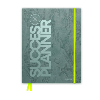              PRE-ORDER | Blue lagoon SuccesPlanner 2026