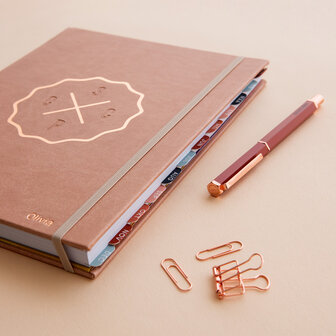          PRE-ORDER | Blush Le petit 2026