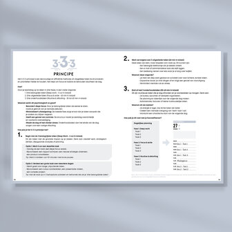 Blush Ongedateerde SuccesPlanner het 3-3-3 principe - dopamine killer