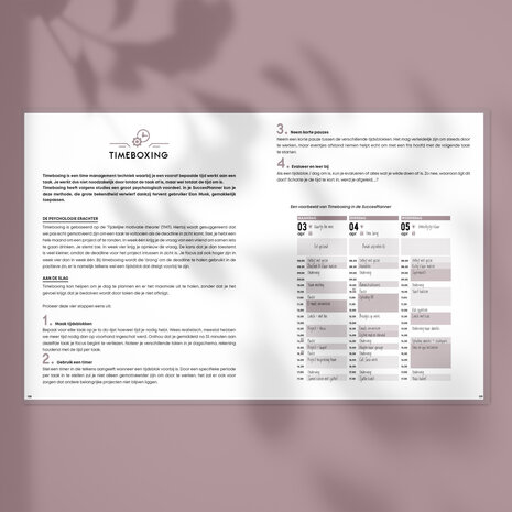    Ongedateerde Schelpwitte SuccesPlanner