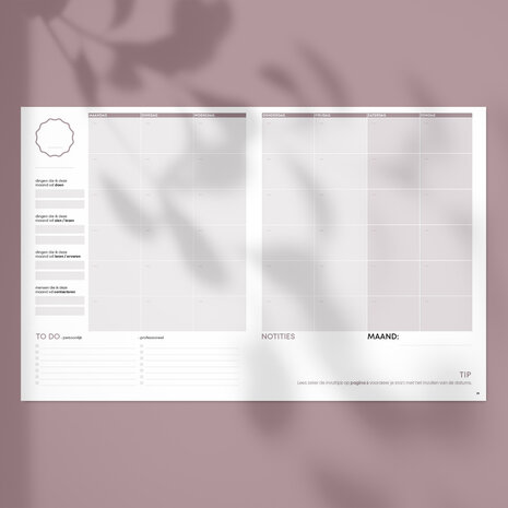       Ongedateerde Oudroze SuccesPlanner
