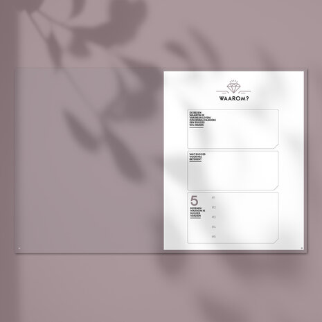Blush SuccesPlanner 2025 waarom