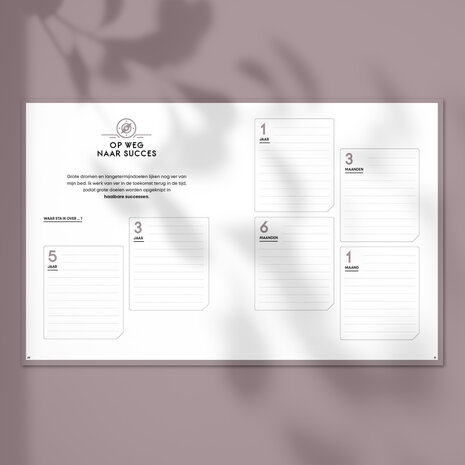 Blush SuccesPlanner stappenplan
