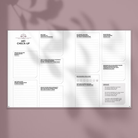 Blush SuccesPlanner 2025