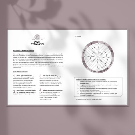 Blush SuccesPlanner 2025