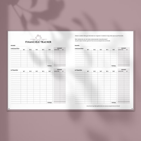 Blush SuccesPlanner 2025