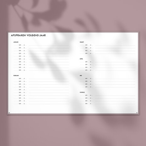 Blush SuccesPlanner 2025