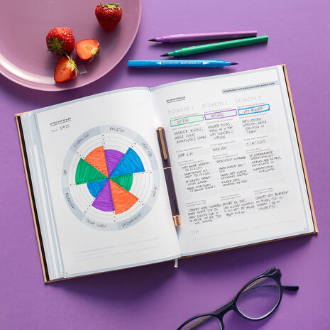                  NIEUW | Ongedateerde Purple universe SuccesPlanner