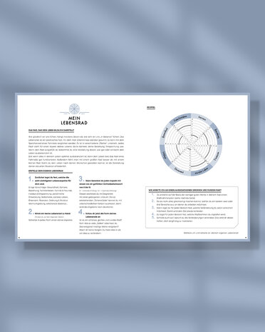 13 Flatlay SP26DE Mein Lebensrad 2026 agenda SuccesPlanner jahreplaner wochenplaner