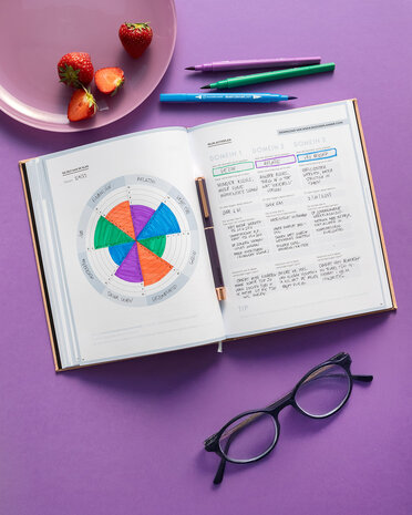Terminplaner & Agenda 2026 – vereint Ihren Privat- und Schulalltag in einem Planer – SuccesPlanner 2026 - Purple Universe