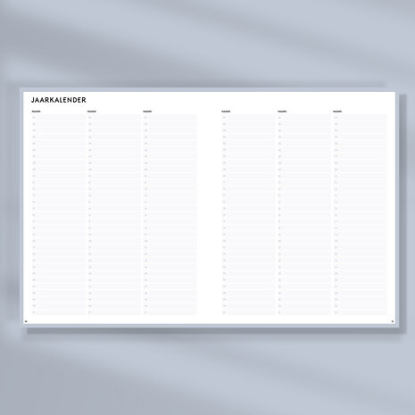 Blush Ongedateerde SuccesPlanner jaaroverzicht