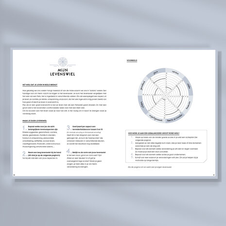 Blush Ongedateerde SuccesPlanner Hoe ziet mijn lever eruit?