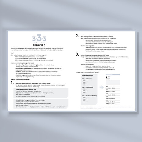 Blush Ongedateerde SuccesPlanner het 3-3-3 principe - dopamine killer