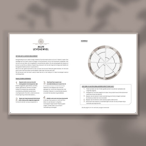 succesplanner 2027 - levenswiel